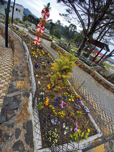 Melhores Hotéis que Aceitam Pets em Bom Jardim da Serra, Santa Catarina 2025