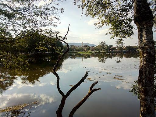 Melhores Hotéis que Aceitam Pets em Araçoiaba da Serra, São Paulo 2025