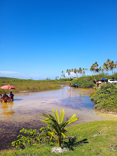 Melhores Hotéis que Aceitam Pets em Massarandupio, Bahia 2025