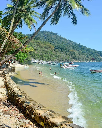 Melhores Hotéis que Aceitam Pets em Ilha de Jaganum, Rio de Janeiro 2025