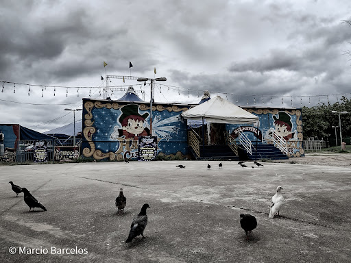 Melhores Hotéis que Aceitam Pets em Cocotá, Rio de Janeiro 2025