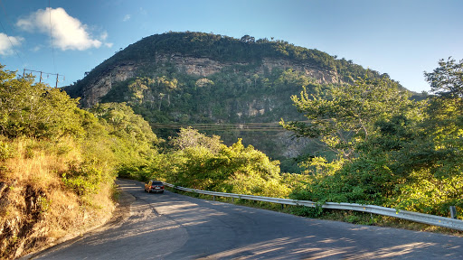 Melhores Hotéis que Aceitam Pets em Ibiapina, Ceará 2025