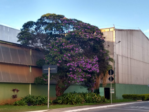 Melhores Hotéis que Aceitam Pets em Barreiro, Minas Gerais 2025