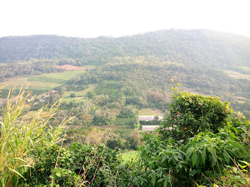 Melhores Hotéis que Aceitam Pets em Nova Palmira, Rio Grande do Sul 2025