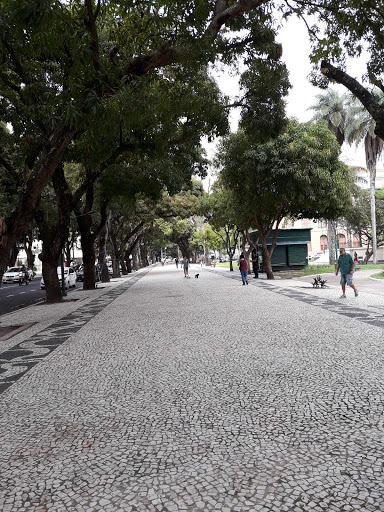 Melhores Hotéis que Aceitam Pets em Curro Velho, Pará 2025