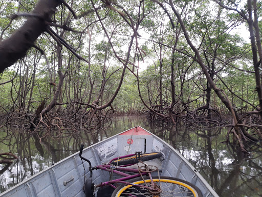 Melhores Hotéis que Aceitam Pets em Canavieiras, Ilha de Tinharé 2025
