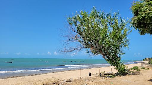Melhores Hotéis que Aceitam Pets em Praia de Moitas, Ceará 2025
