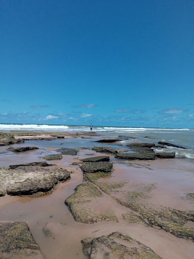 Melhores Hotéis que Aceitam Pets em Porto de Sauípe, Bahia 2025