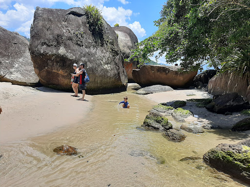 Melhores Hotéis que Aceitam Pets em Praia do Felix, São Paulo 2025