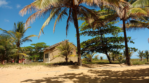 Melhores Hotéis que Aceitam Pets em Nova Viçosa, Bahia 2025