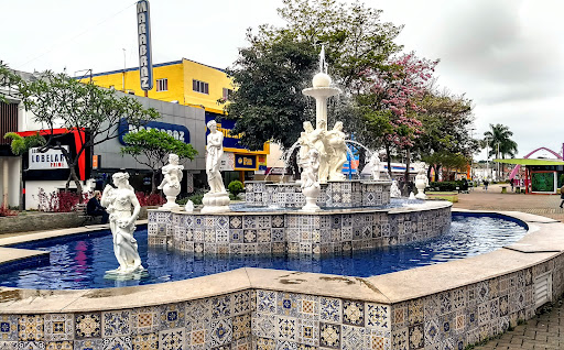 Melhores Hotéis que Aceitam Pets em Barueri, São Paulo 2025