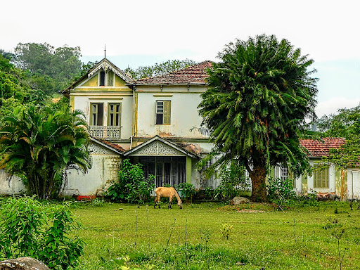 Melhores Hotéis que Aceitam Pets em Mendes, Rio de Janeiro 2025