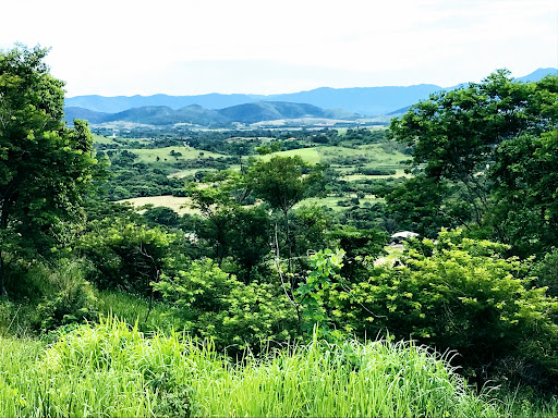 Melhores Hotéis que Aceitam Pets em Marapicu, Rio de Janeiro 2025