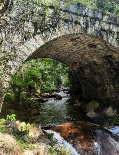 Melhores Hotéis que Aceitam Pets em Itamonte, Minas Gerais 2025