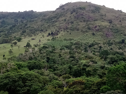 Melhores Hotéis que Aceitam Pets em Serra Grande, Bahia 2025