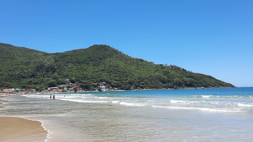 Melhores Hotéis que Aceitam Pets em Pântano do Sul, Ilha de Santa Catarina 2025