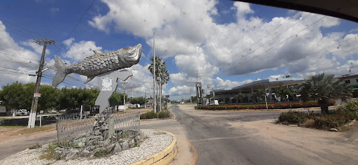 Melhores Hotéis que Aceitam Pets em Itarema, Ceará 2025