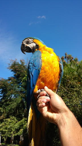 Melhores Hotéis que Aceitam Pets em Papagaio, Rio de Janeiro 2025