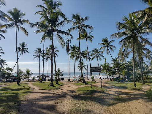 Melhores Hotéis que Aceitam Pets em Itacaré, Bahia 2025