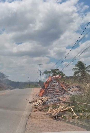 Melhores Hotéis que Aceitam Pets em Coqueiro, Bahia 2025