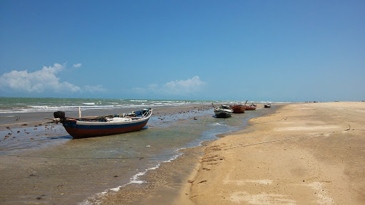Melhores Hotéis que Aceitam Pets em Bitupitá, Ceará 2025