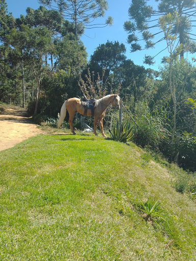Melhores Hotéis que Aceitam Pets em Piranguçu, Minas Gerais 2025