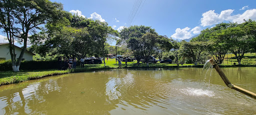 Melhores Hotéis que Aceitam Pets em Engenheiro Passos, Rio de Janeiro 2025