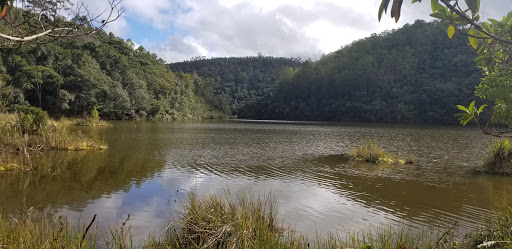 Melhores Hotéis que Aceitam Pets em Dias, Minas Gerais 2025