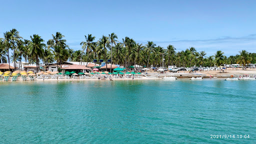 Melhores Hotéis que Aceitam Pets em Barra de São Miguel, Alagoas 2025