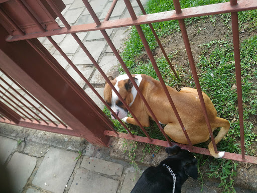Melhores Hotéis que Aceitam Pets em Partenon, Rio Grande do Sul 2025