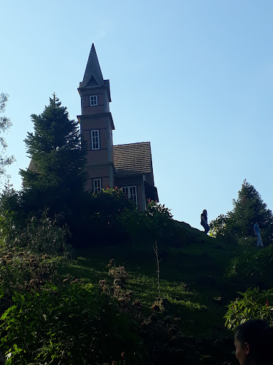 Melhores Hotéis que Aceitam Pets em Benedito Novo, Santa Catarina 2025