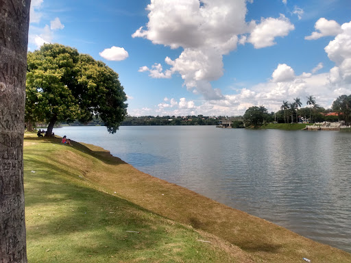 Melhores Hotéis que Aceitam Pets em Pampulha, Minas Gerais 2025