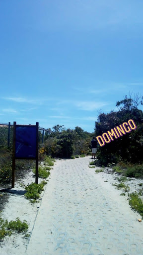 Melhores Hotéis que Aceitam Pets em Praia do Forte, Bahia 2025