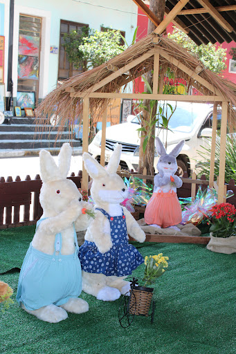 Melhores Hotéis que Aceitam Pets em Monteiro Lobato, São Paulo 2025