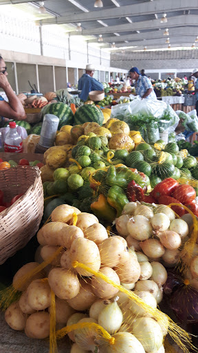 Melhores Hotéis que Aceitam Pets em Monte Gordo, Bahia 2025