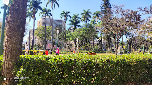 Melhores Hotéis que Aceitam Pets em Belo Horizonte, Minas Gerais 2025