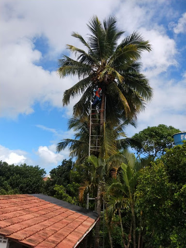 Melhores Hotéis que Aceitam Pets em Areia Branca, Bahia 2025